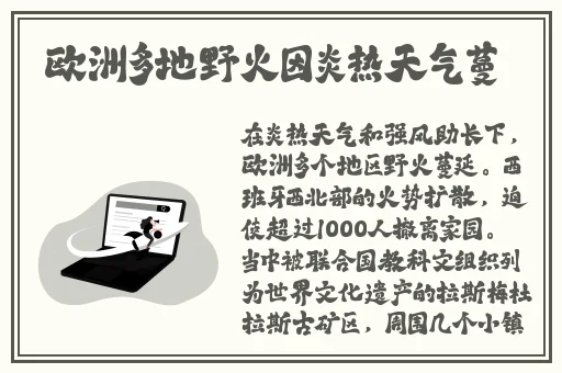麻豆一区二区99久久久久