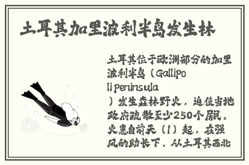 热门事件黑料不打烊吃瓜曝光